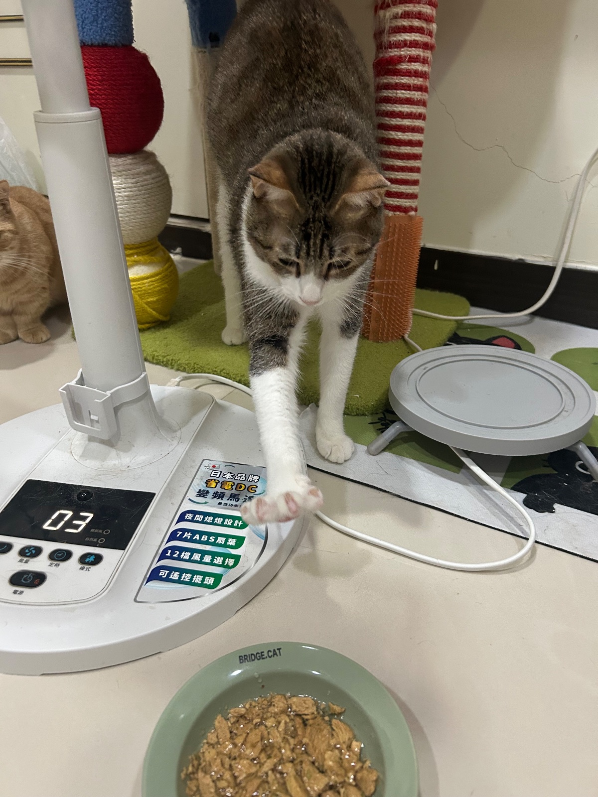 我要吃飯