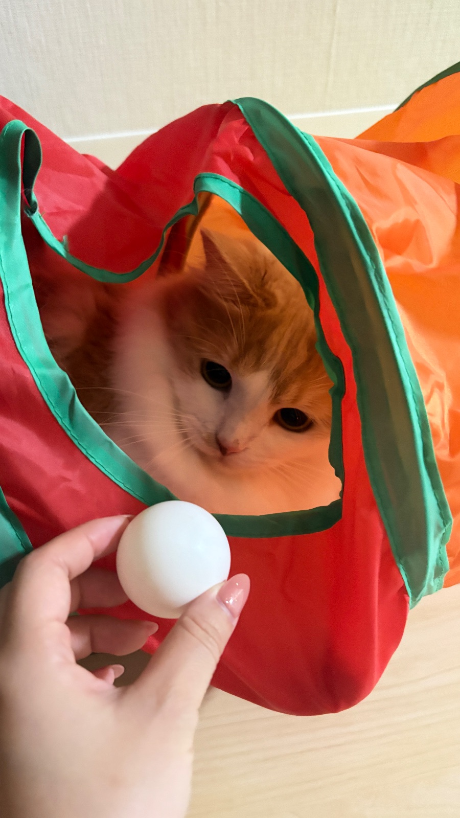 陪我玩