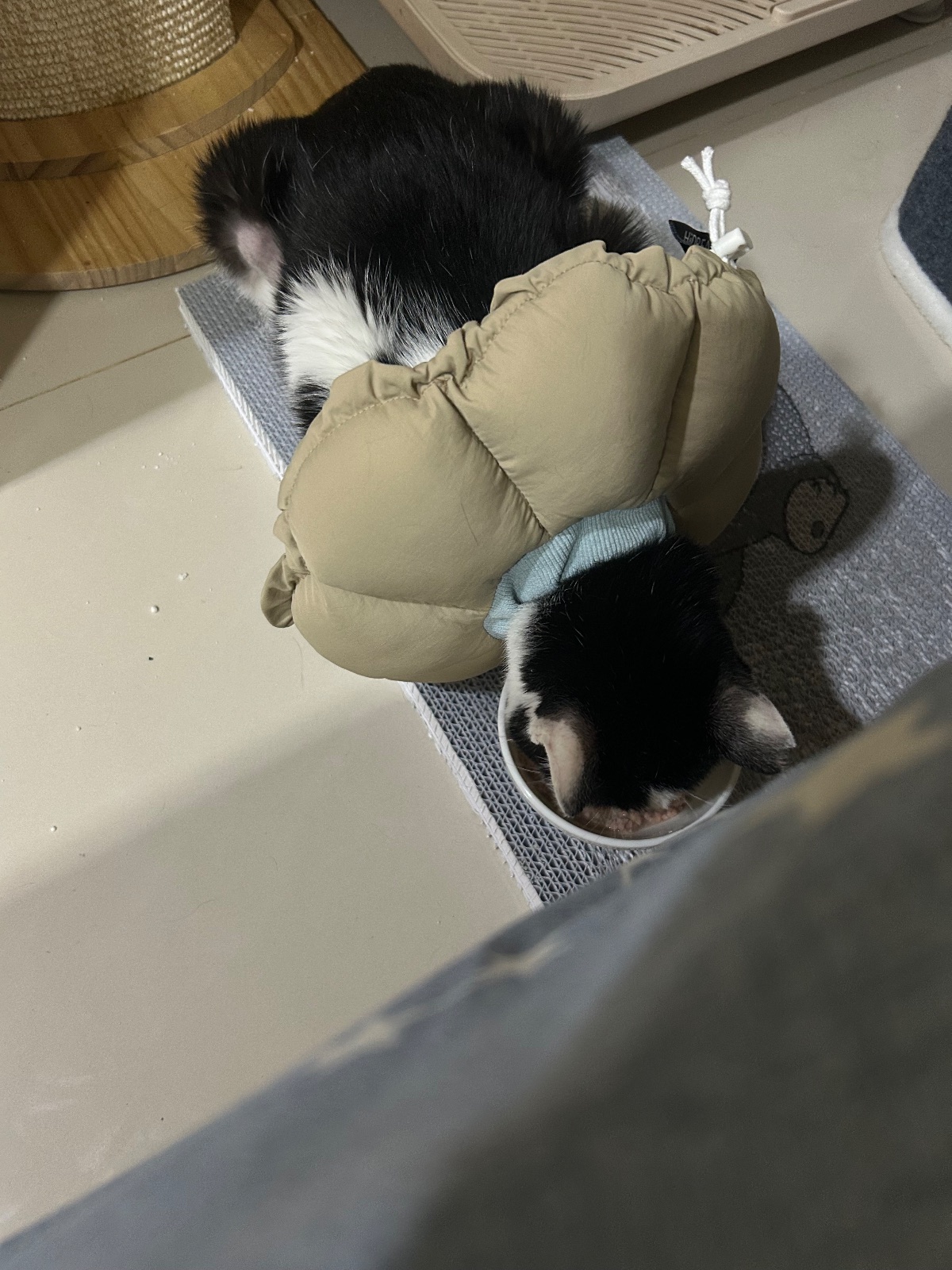 大家都要乖乖吃飯～