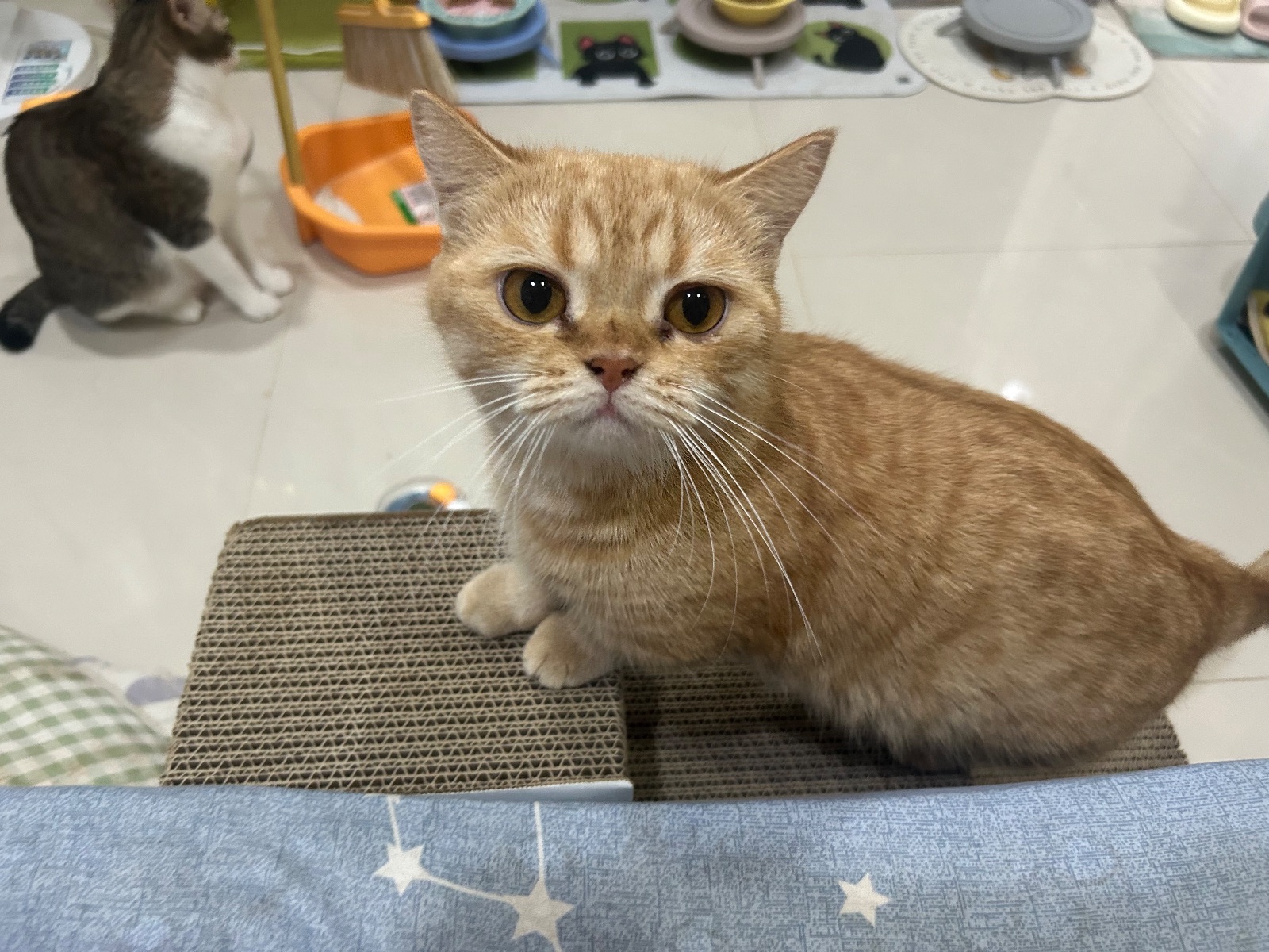新樓梯～～