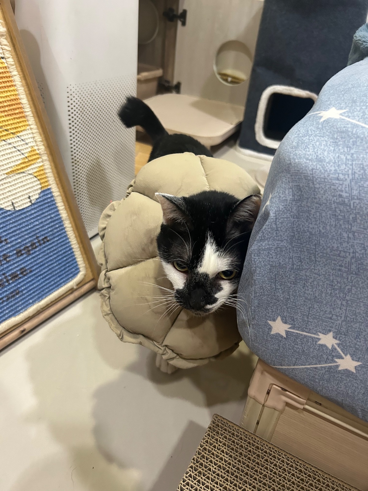 一週年！！