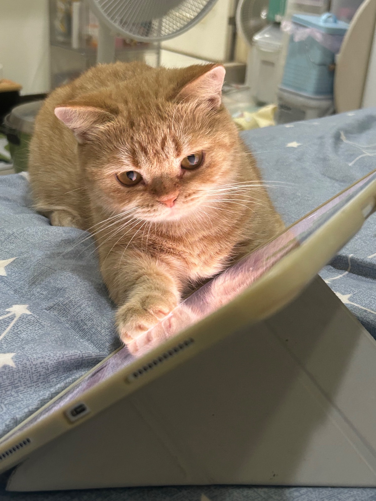 電視兒童