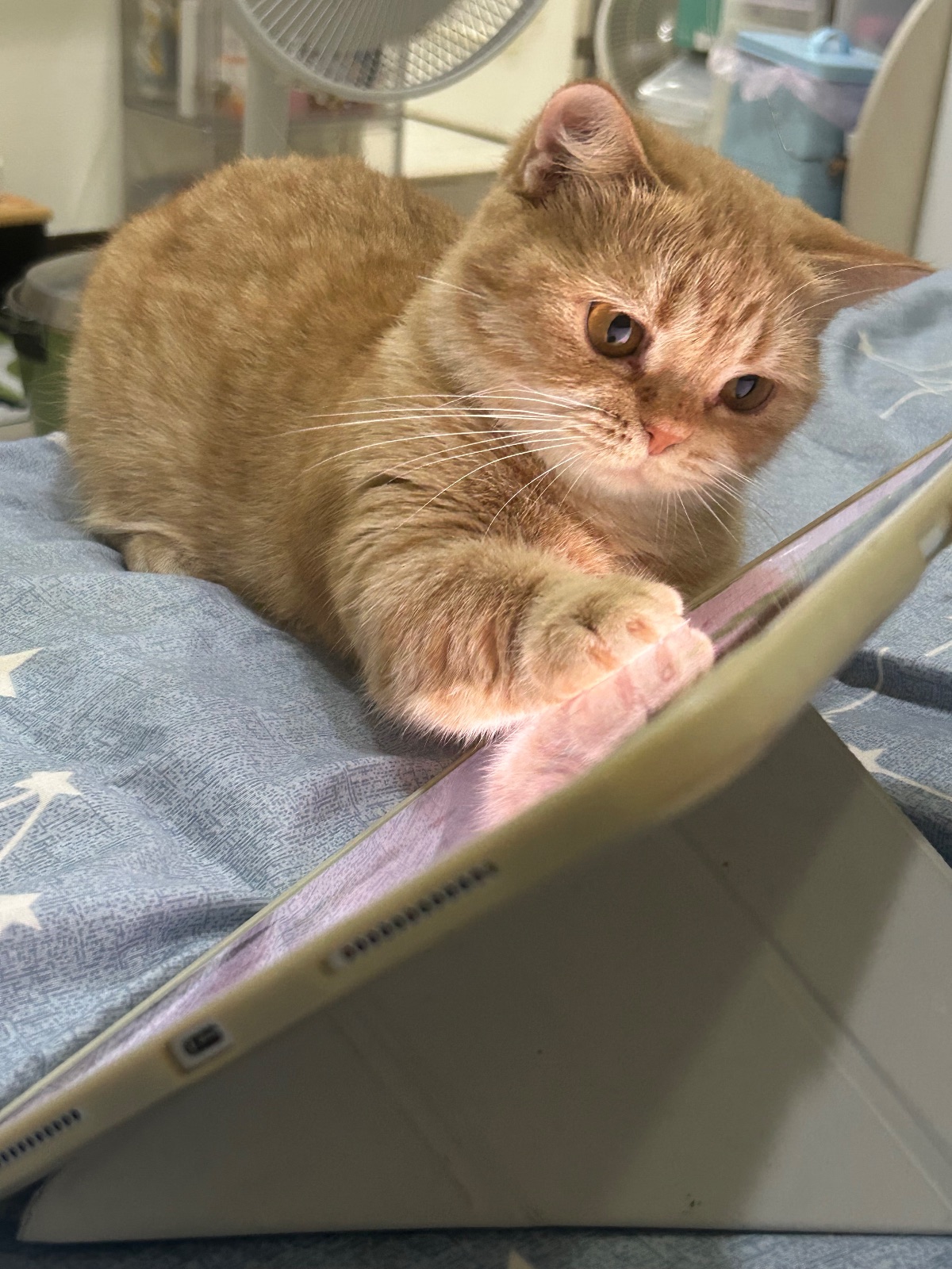 電視兒童