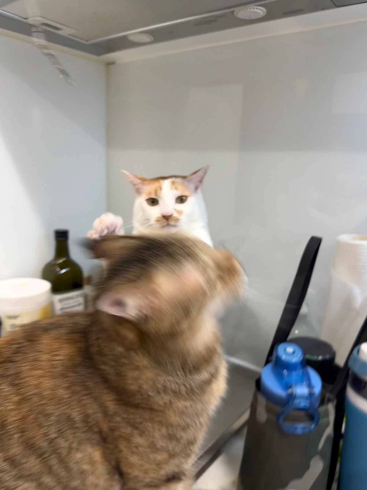 啊嘶
